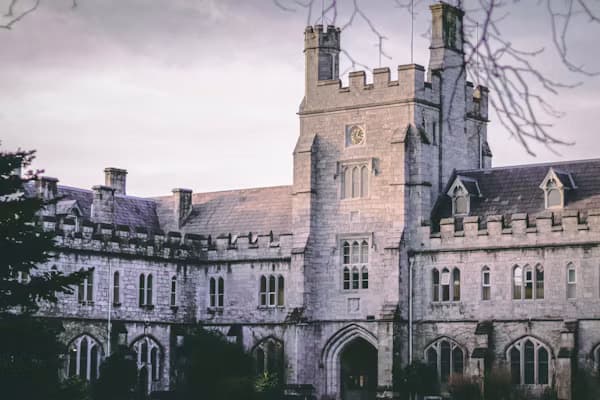 Ireland's Rising Universities for Tech and Pharma Careers