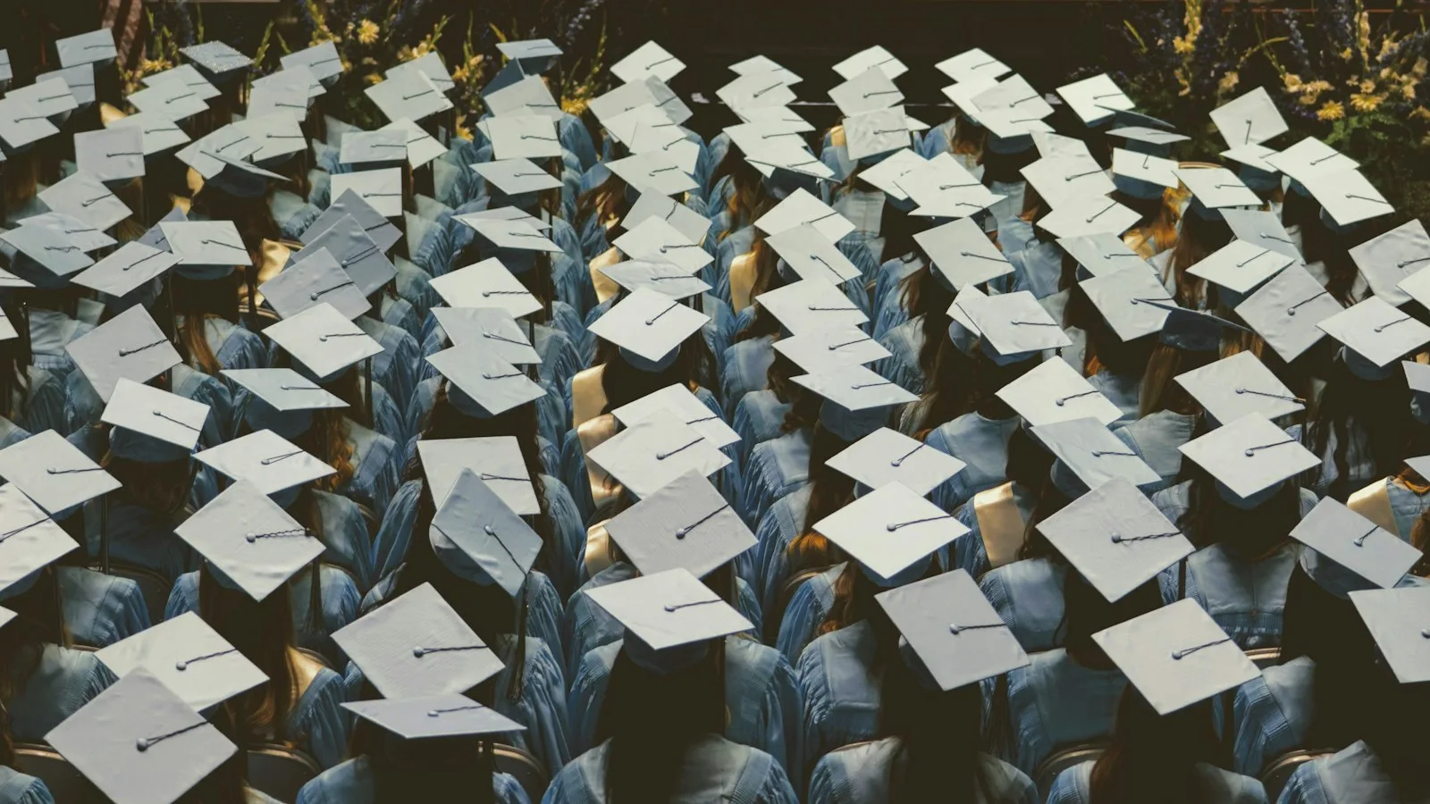 International graduates in caps and gowns at a university commencement ceremony